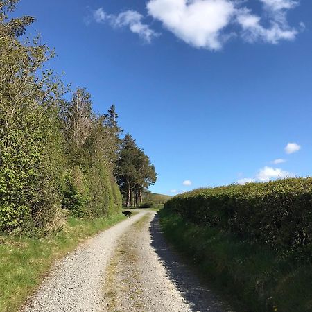 Chic Cottage Near Elan Valley And Builth Wells Llanwrthwl Luaran gambar